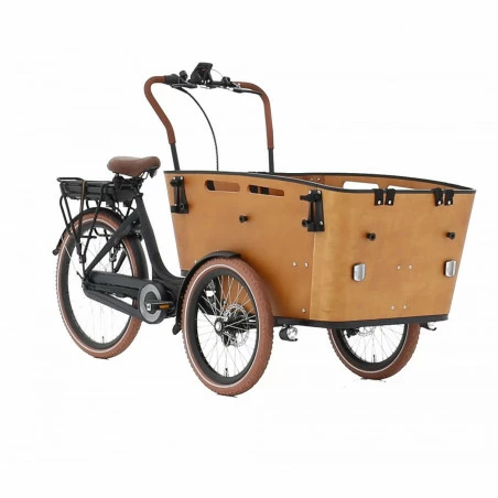 Vélo Cargo Triporteur électrique Vogue Carry 3 3 Vélo Cargo Triporteur électrique Vogue Carry 3