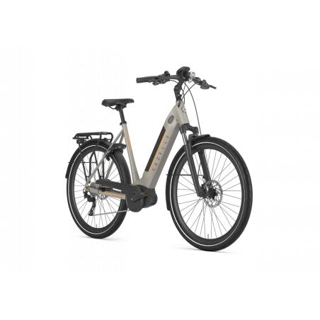 Vélo électrique Gazelle Ultimate T10 HMB 2022 4 Vélo électrique Gazelle Ultimate T10 HMB 2022 – Image 2