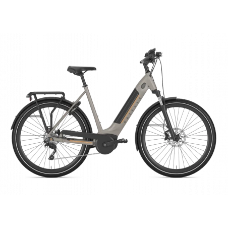 Vélo électrique Gazelle Ultimate T10 HMB 2022 3 Vélo électrique Gazelle Ultimate T10 HMB 2022